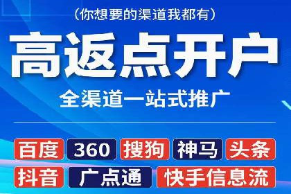 SEM广告投放策略：成功案例解析